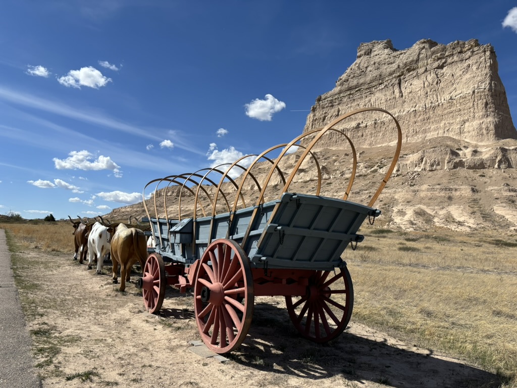 Vacation photos from an oxen perspective